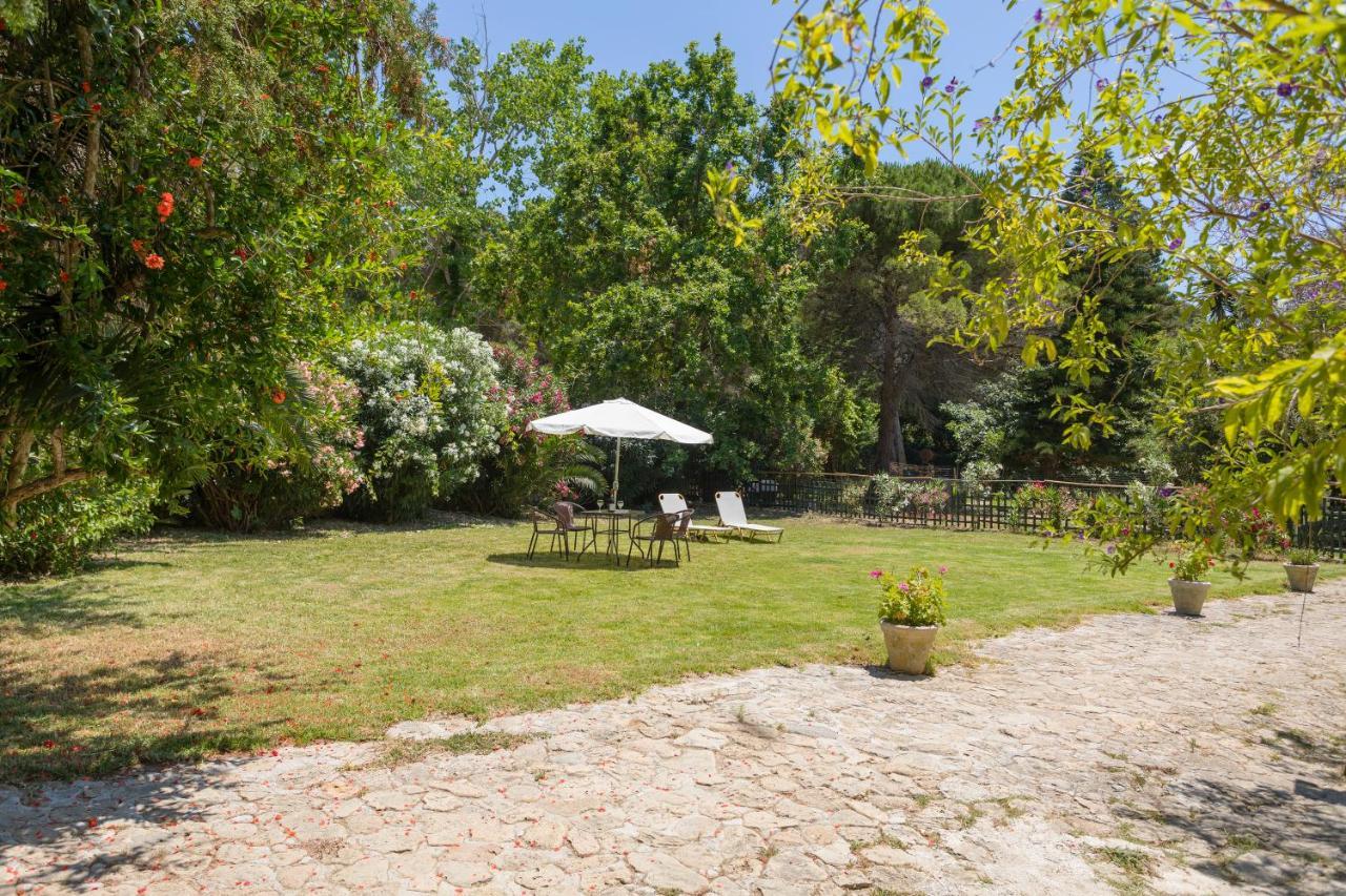 Jianni'S Villa - Stone Villa In The Greenery!! Vasilikos Exterior foto